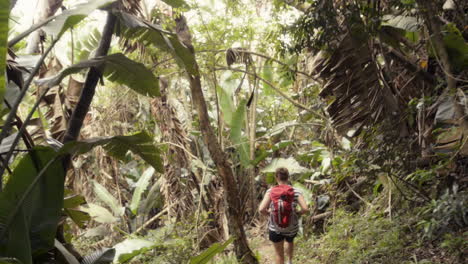 woman-hiking-in-jungle